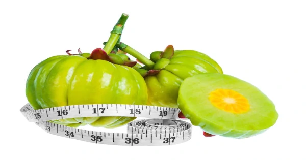 You are currently viewing Garcinia Cambogia, the Slimming Plant