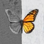 anxiety and depression